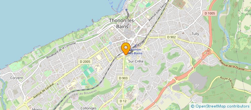 localisation de l'entreprise MADAME CRISTINA VLADU à THONON-LES-BAINS