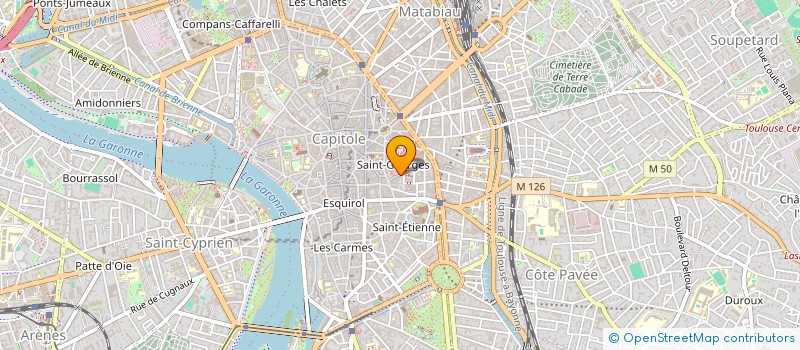 localisation de l'entreprise MADAME CYNELLE LEGAIN  TOULOUSE