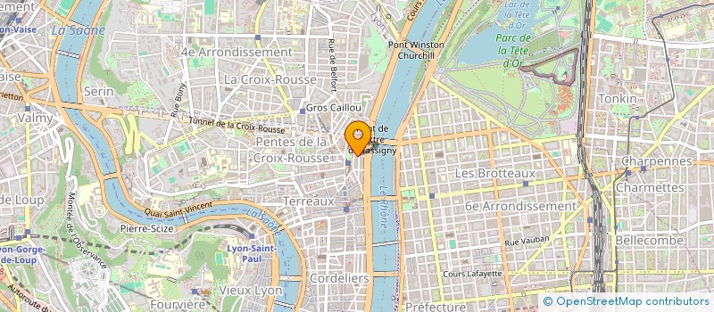 localisation de l'entreprise MADAME CYNTHIA DIAZ LLORENS  LYON