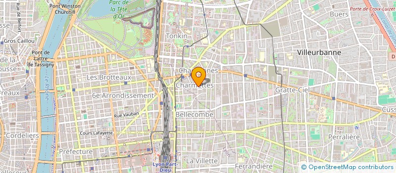 localisation de l'entreprise MADAME CYNTHIA VERGER  VILLEURBANNE