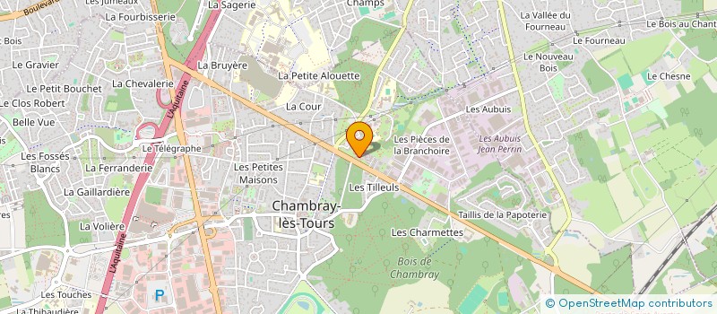 localisation de l'entreprise MADAME CYRIELLE BOURDAIS  CHAMBRAY-LES-TOURS