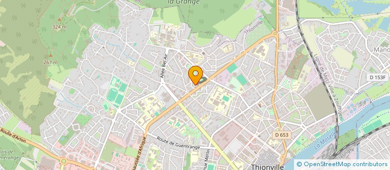 localisation de l'entreprise MADAME CYRIELLE THIA NAM  THIONVILLE