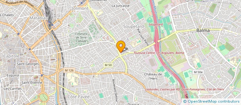 localisation de l'entreprise MADAME CYRILLE VAUTIER  TOULOUSE