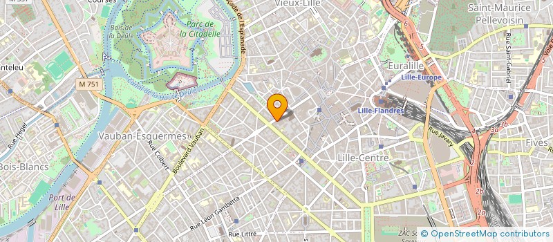 localisation de l'entreprise MADAME DACE STEPANOVA à LILLE