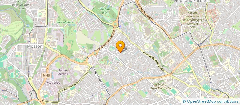localisation de l'entreprise MADAME DAHIANA PEREZ FLORENTINO à MONTPELLIER