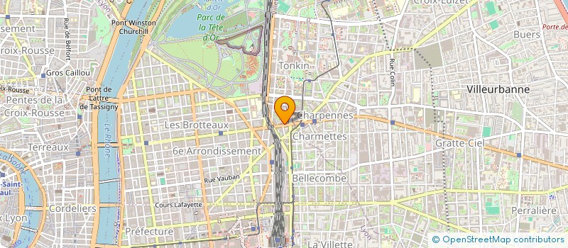 localisation de l'entreprise MADAME DAHLIA FAJG  LYON