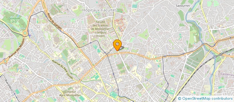 localisation de l'entreprise MADAME DALELE MOHIB à MONTPELLIER
