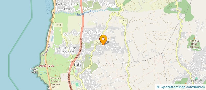 localisation de l'entreprise MADAME DALILA KHALDOUN  SAINT-LEU