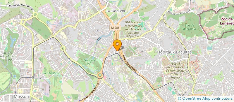 localisation de l'entreprise MADAME DALILA KRITLI à MONTPELLIER
