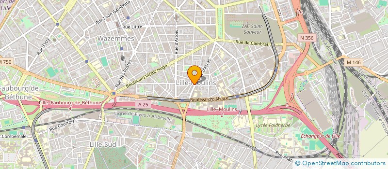localisation de l'entreprise MADAME DALILA SALHI à LILLE