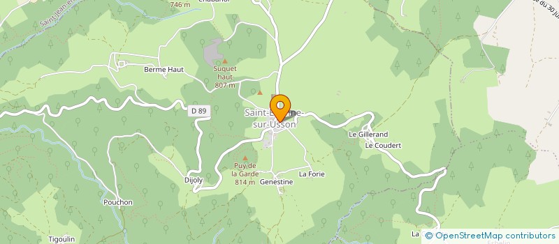 localisation de l'entreprise MADAME DALLY VANG  SAINT-ETIENNE-SUR-USSON