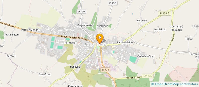 localisation de l'entreprise MADAME DAMIENNE MICHEL  GRAND-CHAMP