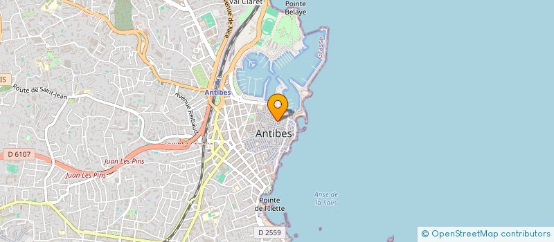 localisation de l'entreprise MADAME DANIELA FOLTYNOVA à ANTIBES