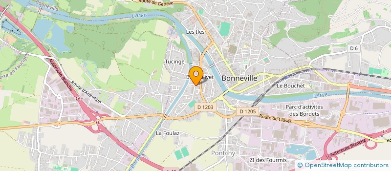 localisation de l'entreprise MADAME DANIELA MEDEIROS MARQUES  CONTAMINE-SUR-ARVE