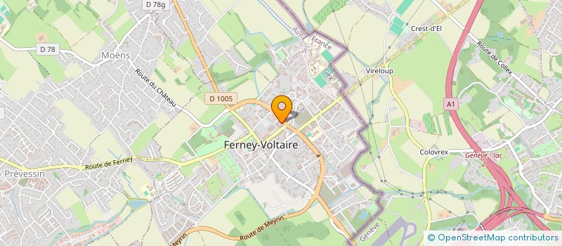 localisation de l'entreprise MADAME DANIELA OLIVEIRA DA SILVA à FERNEY-VOLTAIRE