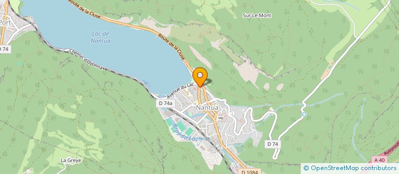 localisation de l'entreprise MADAME DANIELA PUSCAS à NANTUA