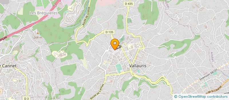 localisation de l'entreprise MADAME DANIELA RAINERI à VALLAURIS