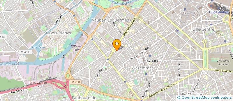 localisation de l'entreprise MADAME DANIELA SCHMIDT à LILLE