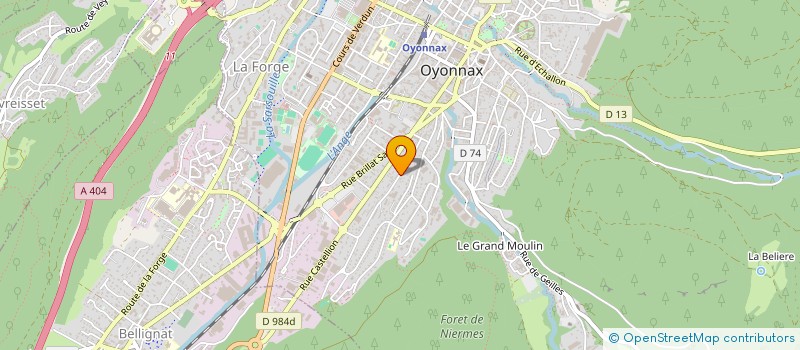 localisation de l'entreprise MADAME DANIELE GUELPA à OYONNAX