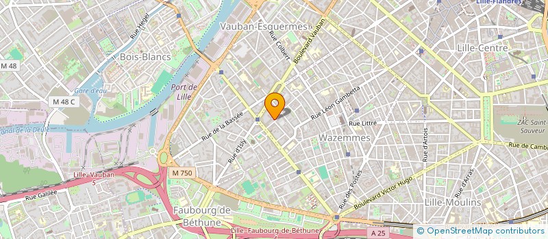 localisation de l'entreprise MADAME DANIELE HONORE  LILLE