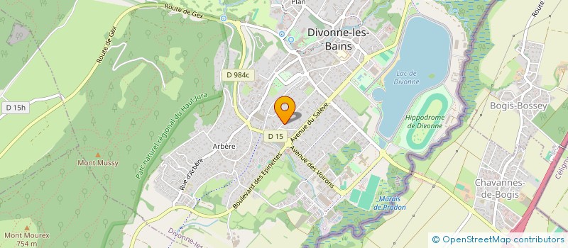 localisation de l'entreprise MADAME DANIELE HUNYADI-BUZAS à DIVONNE-LES-BAINS