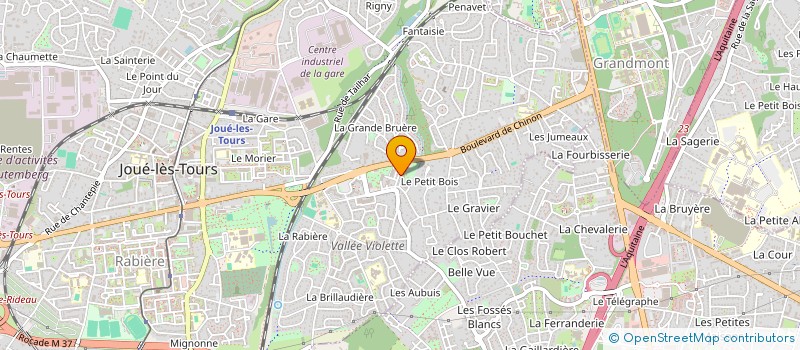 localisation de l'entreprise MADAME DANIELE LESCASTREYRES  JOUE-LES-TOURS