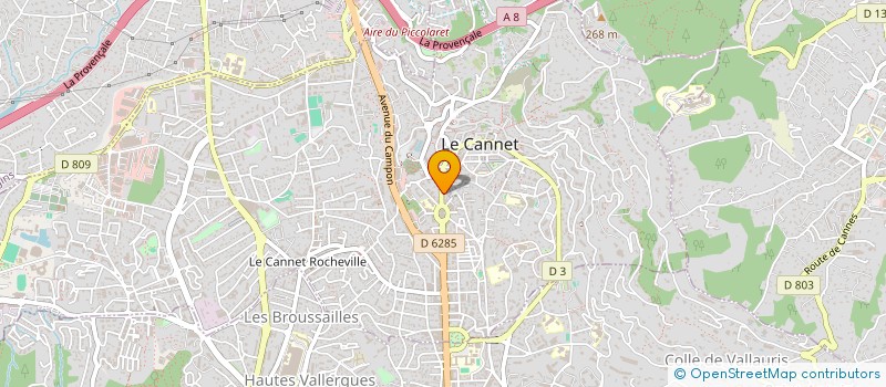 localisation de l'entreprise MADAME DANIELE RICHARD à LE CANNET