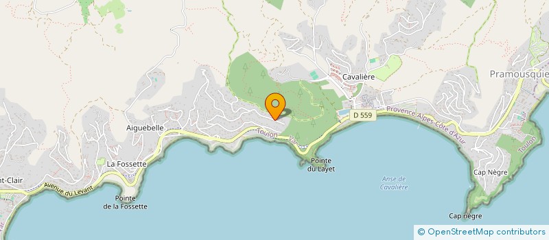 localisation de l'entreprise MADAME DANIELE SALINS à LE LAVANDOU