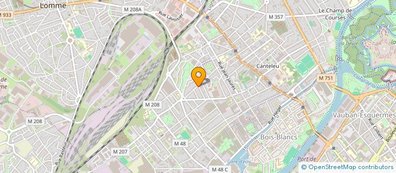 localisation de l'entreprise MADAME DANIELLE AMON à LILLE