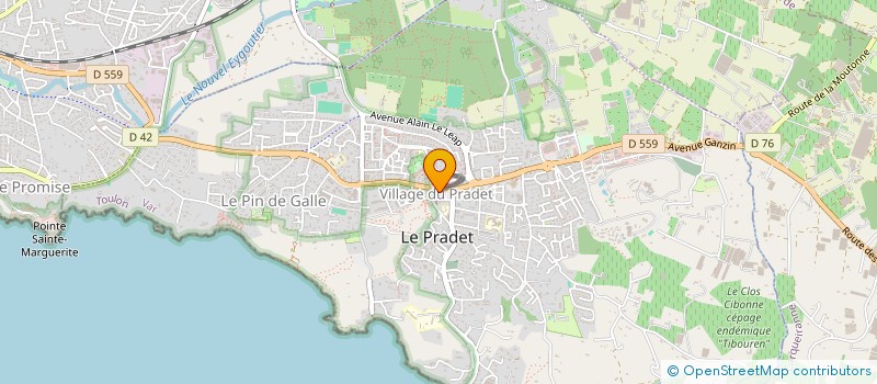 localisation de l'entreprise MADAME DANIELLE BARBAROUX à LE PRADET