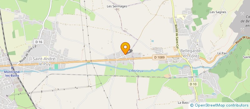 localisation de l'entreprise MADAME DANIELLE BLANC  SAINT-ANDRE-LE-PUY