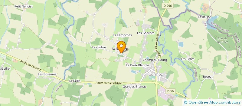 localisation de l'entreprise MADAME DANIELLE BRIOUDE  SAINT-TRIVIER-DE-COURTES