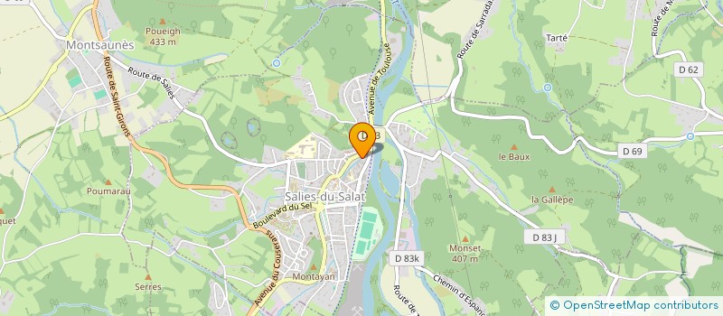 localisation de l'entreprise MADAME DANIELLE CAYUELA  SALIES-DU-SALAT