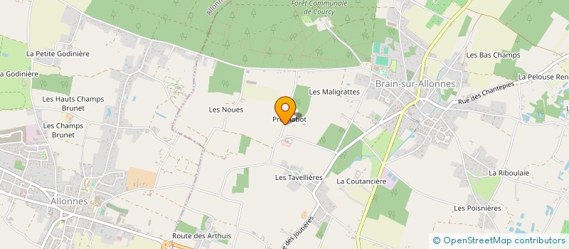 localisation de l'entreprise MADAME DANIELLE DEPLECHIN  BRAIN-SUR-ALLONNES