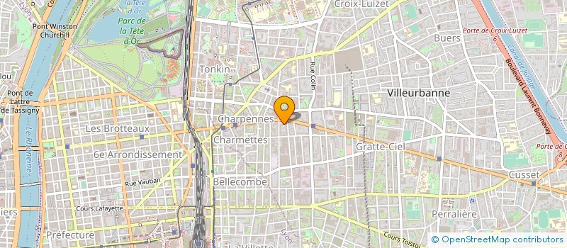 localisation de l'entreprise MADAME DANIELLE DREUX  VILLEURBANNE