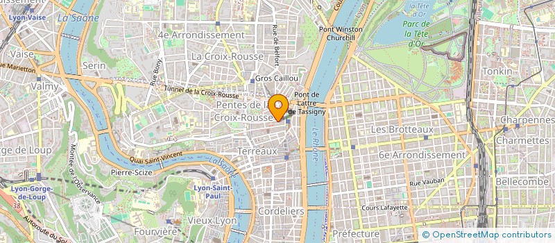 localisation de l'entreprise MADAME DANIELLE FEUGA à LYON