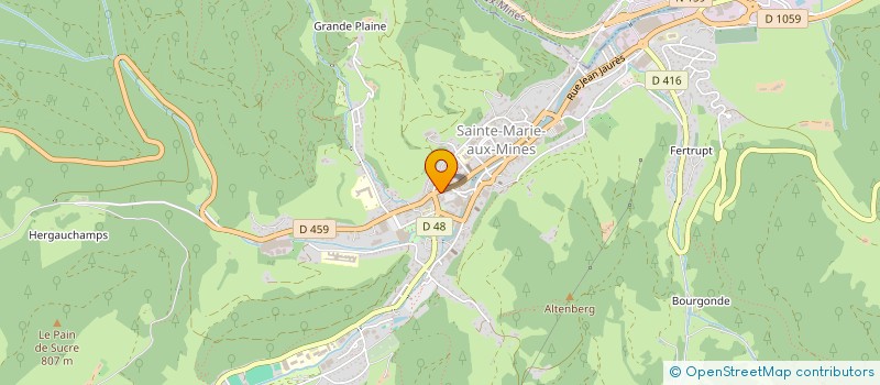 localisation de l'entreprise MADAME DANIELLE FISCHER  SAINTE-MARIE-AUX-MINES