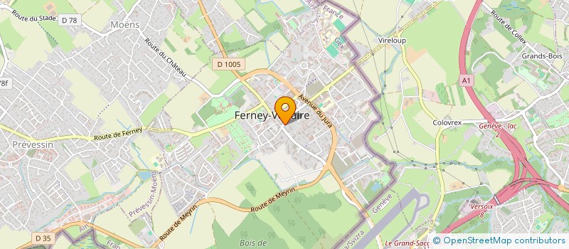 localisation de l'entreprise MADAME DANIELLE GAUDIN à FERNEY-VOLTAIRE