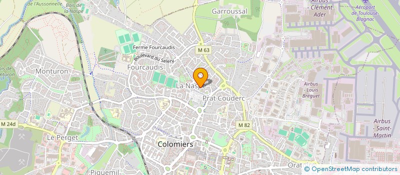 localisation de l'entreprise MADAME DANIELLE MASSOL à COLOMIERS