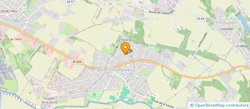 localisation de l'entreprise MADAME DANIELLE RACAUD  QUINT-FONSEGRIVES