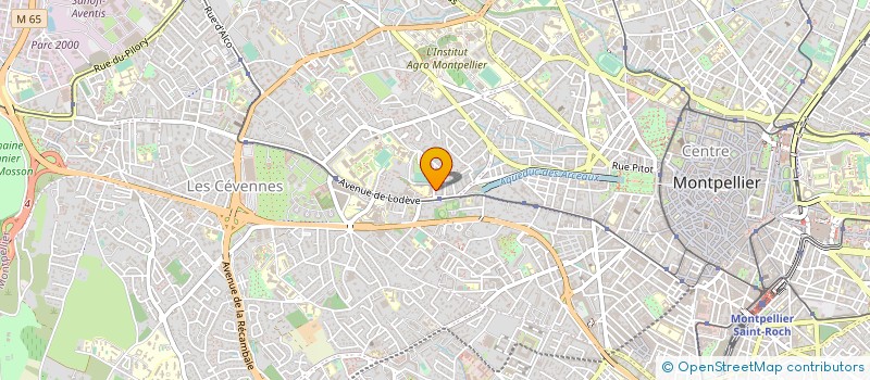 localisation de l'entreprise MADAME DANIELLE ROYER à MONTPELLIER