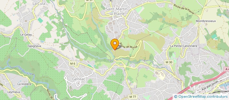 localisation de l'entreprise MADAME DANY CERVANTES  SAINT-MARTIN-LA-PLAINE