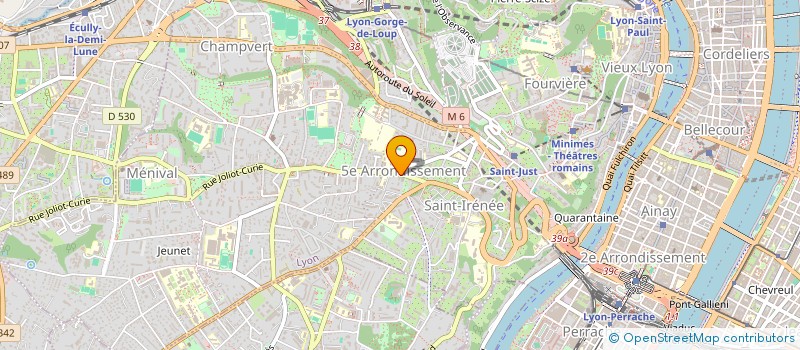 localisation de l'entreprise MADAME DAPHNE GOMAS  LYON