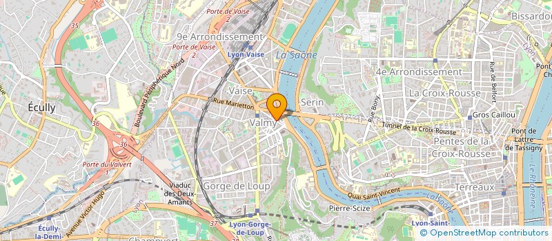 localisation de l'entreprise MADAME DARIA COGNIGNI à LYON