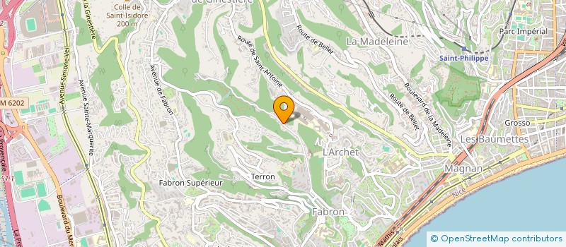 localisation de l'entreprise MADAME DARIA KUROCHKINA  NICE