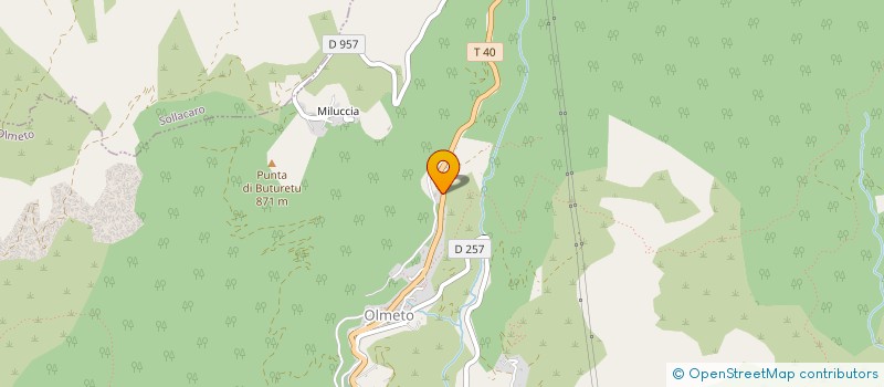 localisation de l'entreprise MADAME DARIA PIETRI  OLMETO