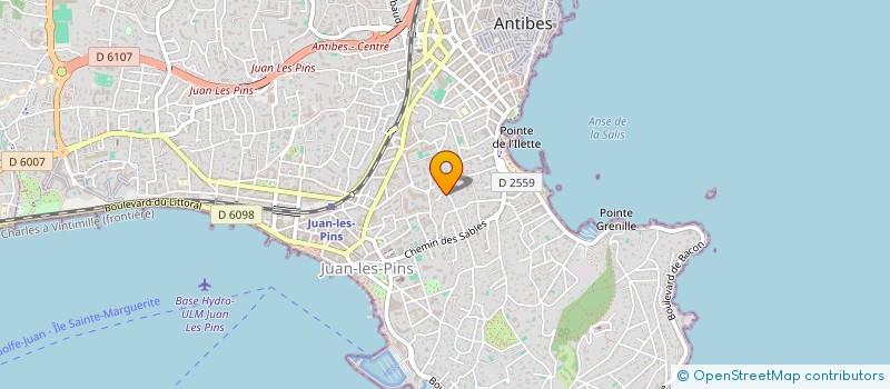 localisation de l'entreprise MADAME DARIA USANOVA à ANTIBES