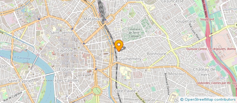 localisation de l'entreprise MADAME DAVID DAVID VANESSA  TOULOUSE