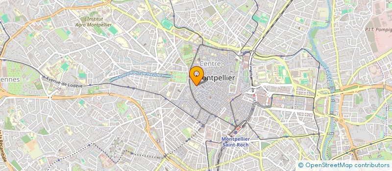 localisation de l'entreprise MADAME DAVIENNA TISNOHADI  MONTPELLIER