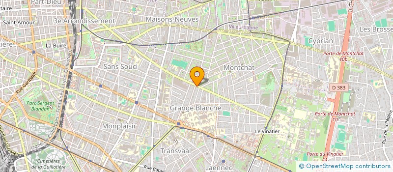 localisation de l'entreprise MADAME DAVILYA NKENE NANG NANG  LYON